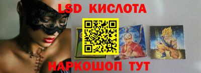 шишки Кандалакша