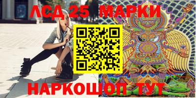 шишки Кандалакша