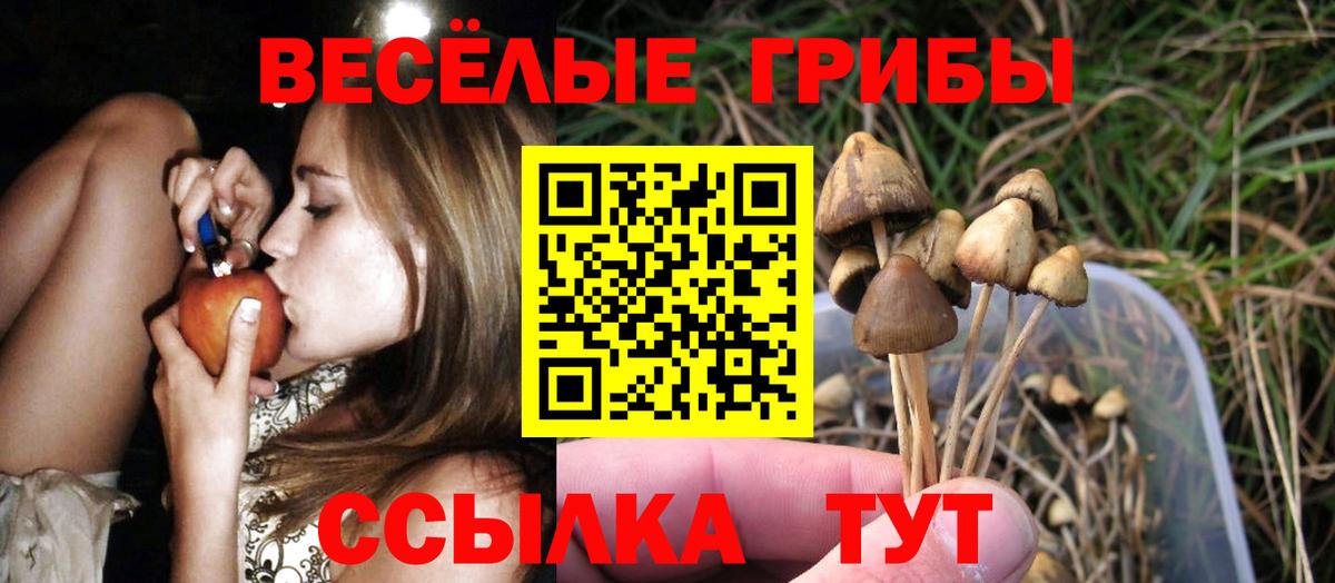 Краснокаменск  Псилоцибиновые грибы ЛСД  Вход с VPN 
