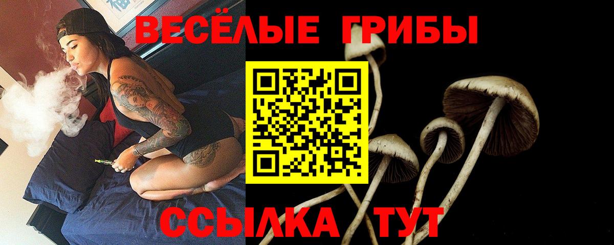 Галлюциногенные грибы Magic Shrooms Краснокаменск
